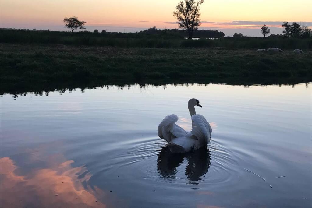Romantic Dutch Hideaway Jisp Bagian luar foto