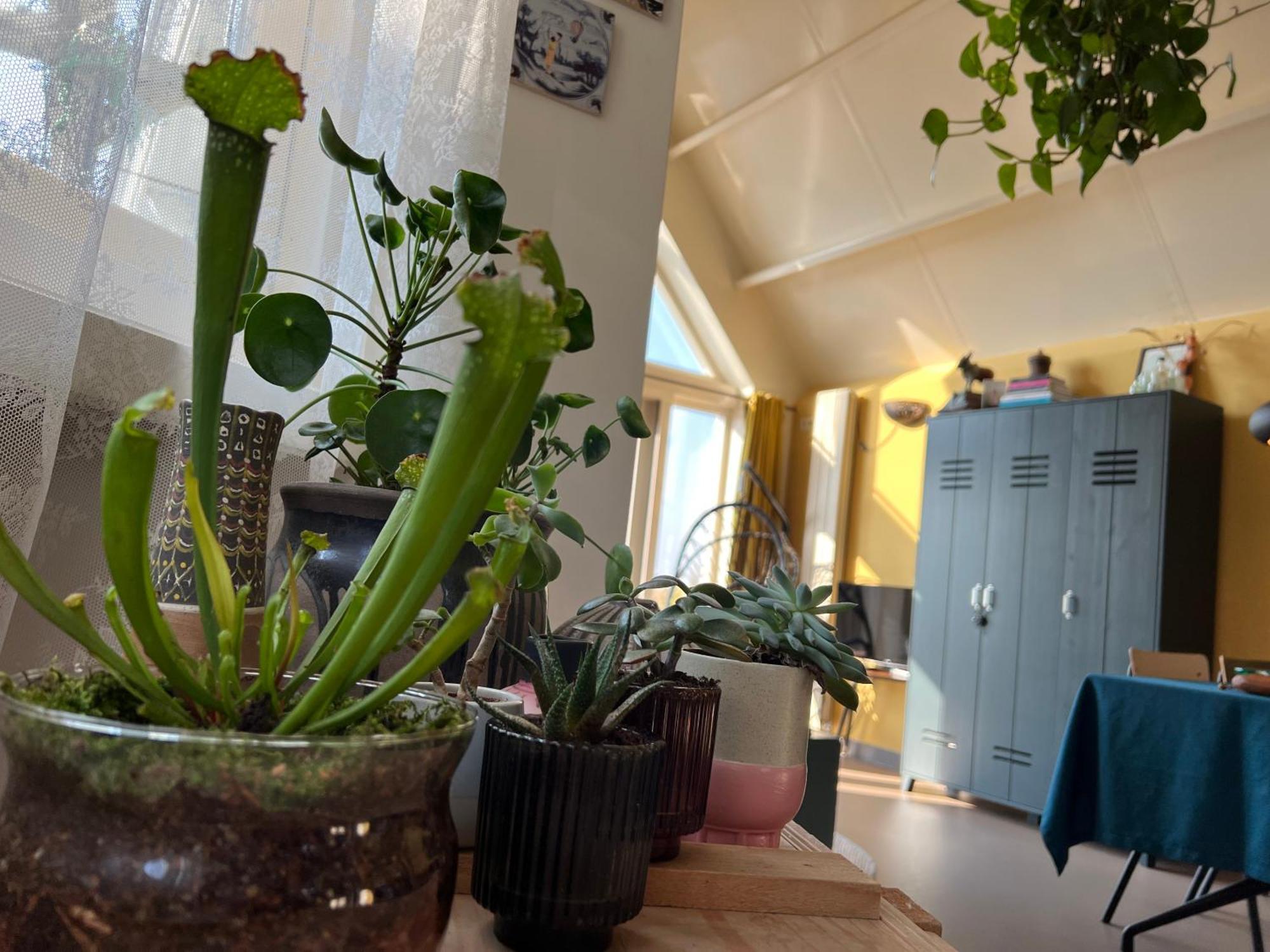 Romantic Dutch Hideaway Jisp Bagian luar foto